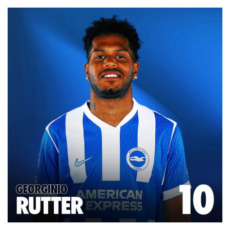 ブライトン　Brighton & Hove Albion ウェア M BHAFC 24/25 Home Warm Up Midlayer