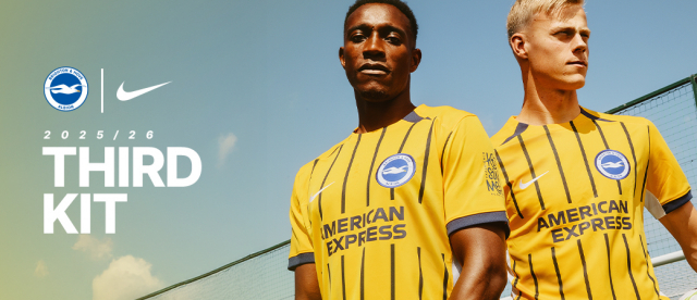 ブライトン　Brighton & Hove Albion ウェア M ブライトン Brighton & Hove Albion ウェア M ブライトン Brighton