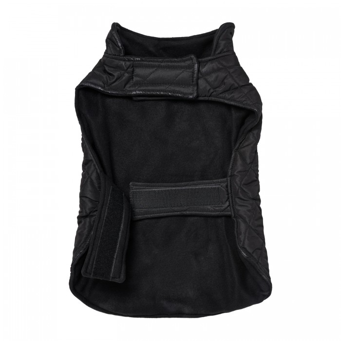 Black Dog Coat