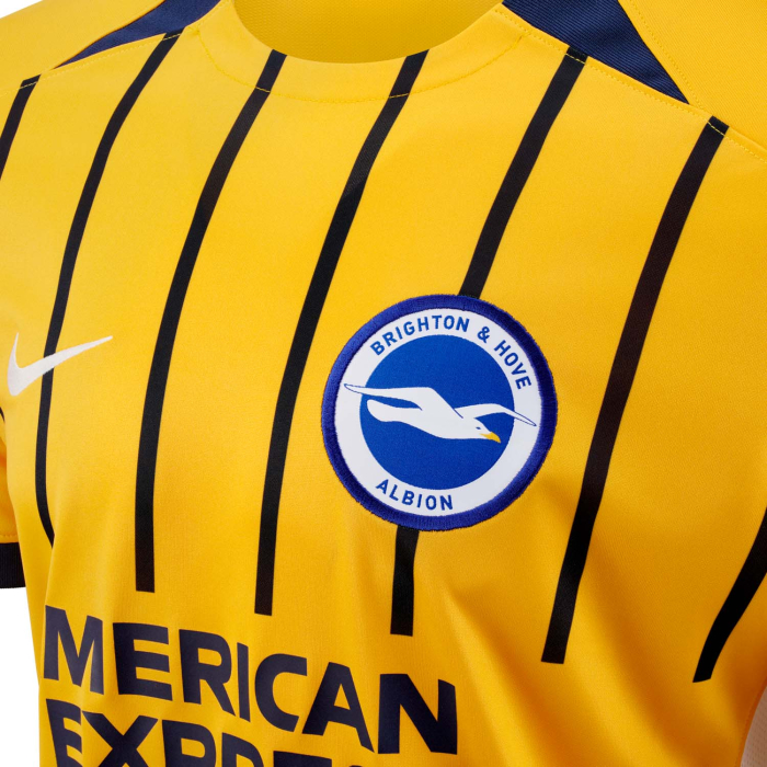 BHAFC Adult 25/26 Third Shirt