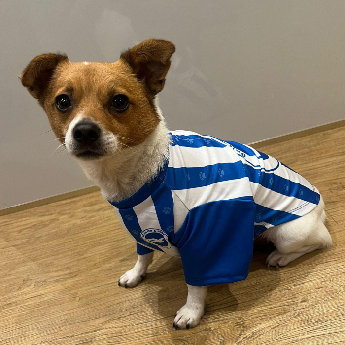 BHAFC Pet Shirt