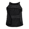 Black Dog Coat