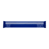 BHAFC 1901 Scarf