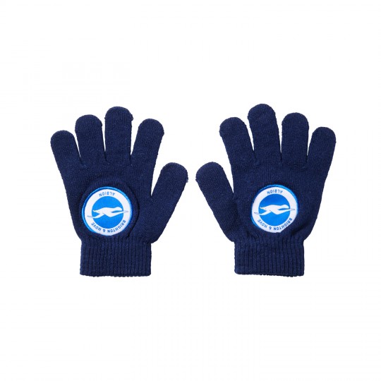 Youth Navy Crest Gloves