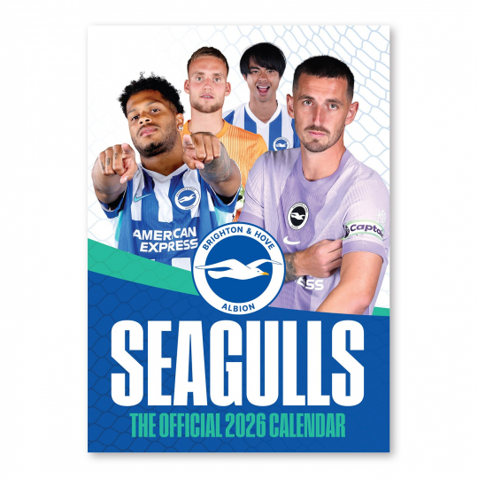 Brighton Nike 25/26 Home Warm Up Shirt | Official BHAFC Store