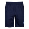 Navy Active Shorts