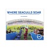 Where Seagulls Soar Book