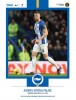 BHAFC vs Crystal Palace