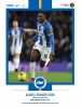 BHAFC vs Grimsby Town (FA Cup)