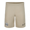 BHAFC Stone Training Shorts