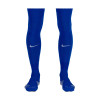 BHAFC 24/25 Royal Home Socks