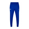 BHAFC Nike NSW Club Royal Joggers