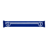 BHAFC 1901 Scarf