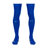 BHAFC 25/26 Royal Home Socks