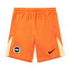 BHAFC Youth 25/26 Orange Goalkeeper Shorts