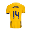 BHAFC Adult 25/26 Third Shirt