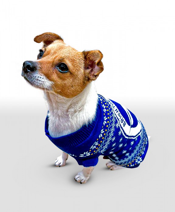 Dog Jingle Christmas Jumper