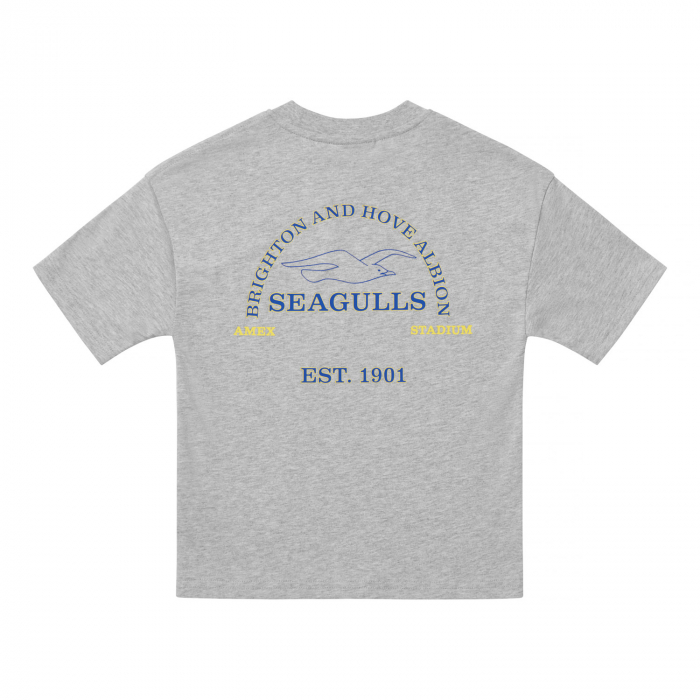 brighton grey kids collegic t-shirt