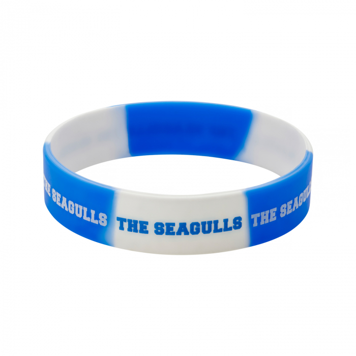brighton fc blue and white wristband