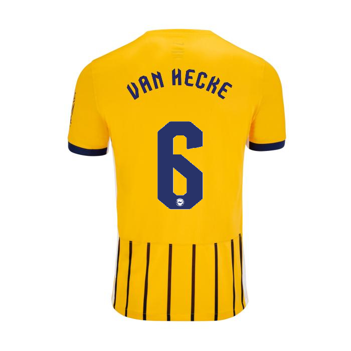 BHAFC Adult 25/26 Third Shirt