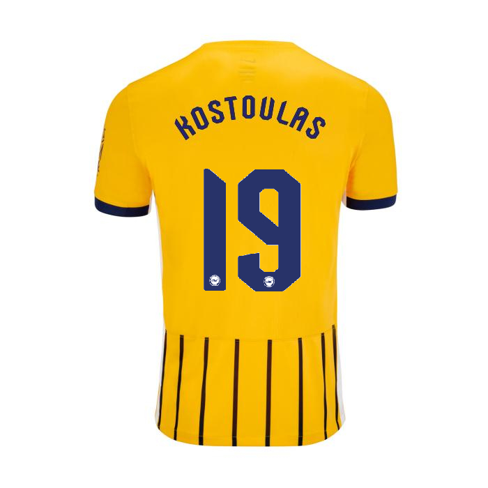 BHAFC Adult 25/26 Third Shirt