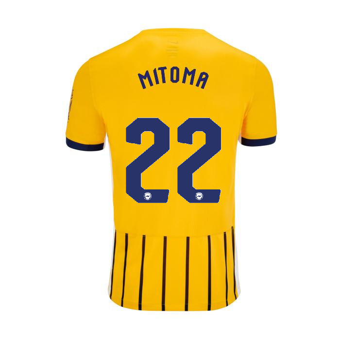 BHAFC Adult 25/26 Third Shirt