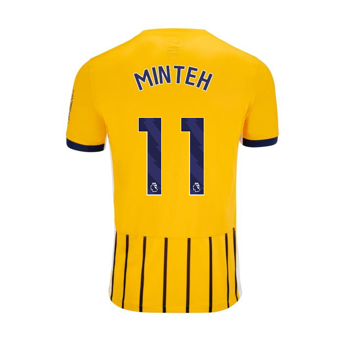 BHAFC Youth 25/26 Third Shirt