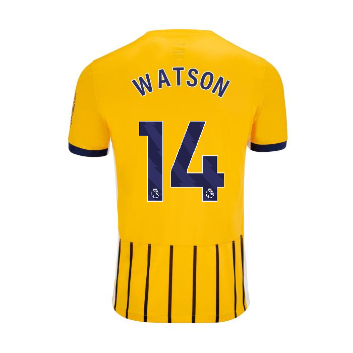BHAFC Youth 25/26 Third Shirt