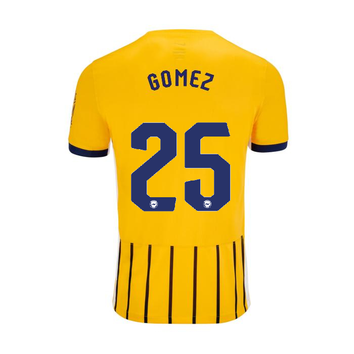 BHAFC Youth 25/26 Third Shirt