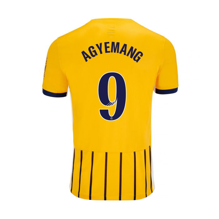 BHAFC Adult 25/26 Third Shirt