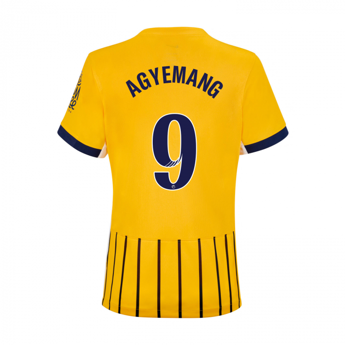 BHAFC Womens 25/26 Third Shirt